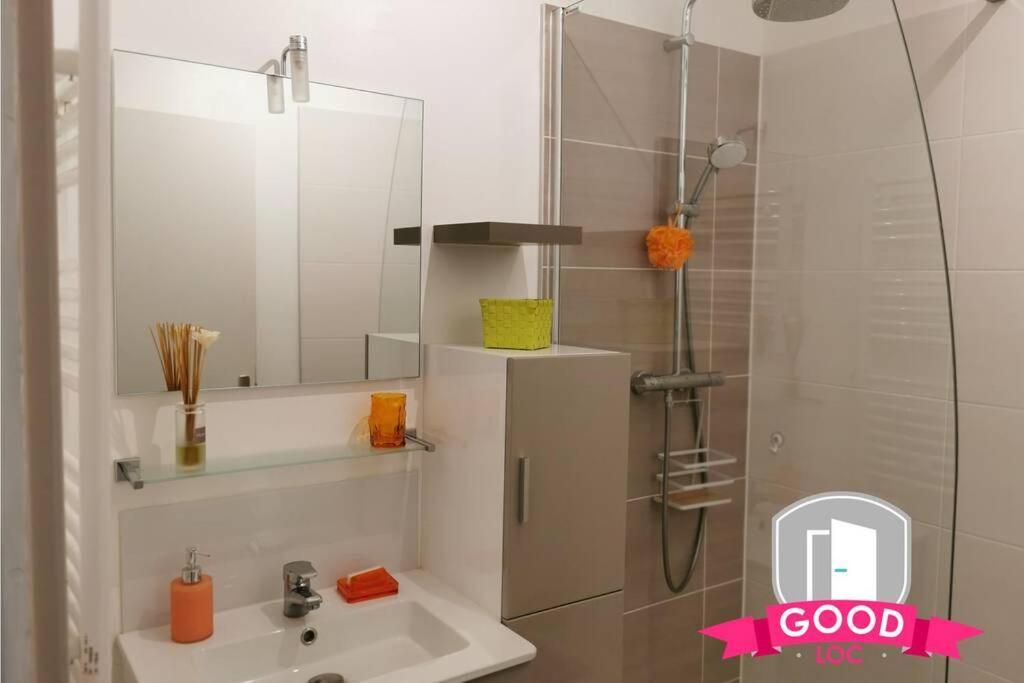 Le Micy - Joli T2 + Parking Apartment ออร์เลออง ภายนอก รูปภาพ