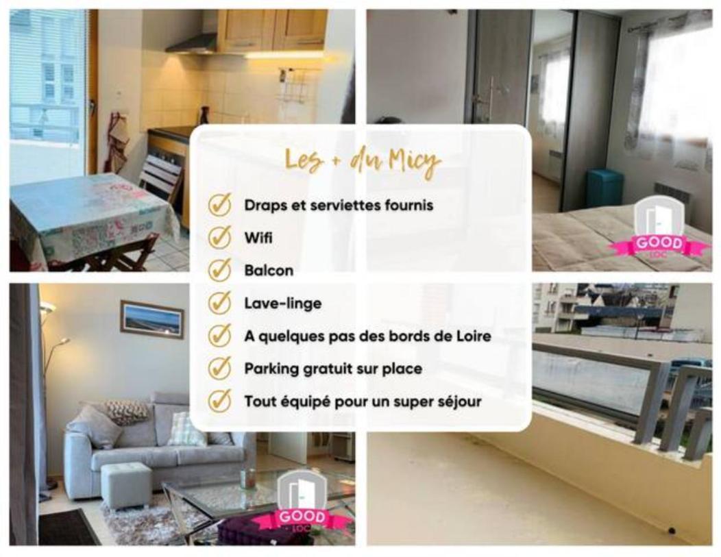 Le Micy - Joli T2 + Parking Apartment ออร์เลออง ภายนอก รูปภาพ